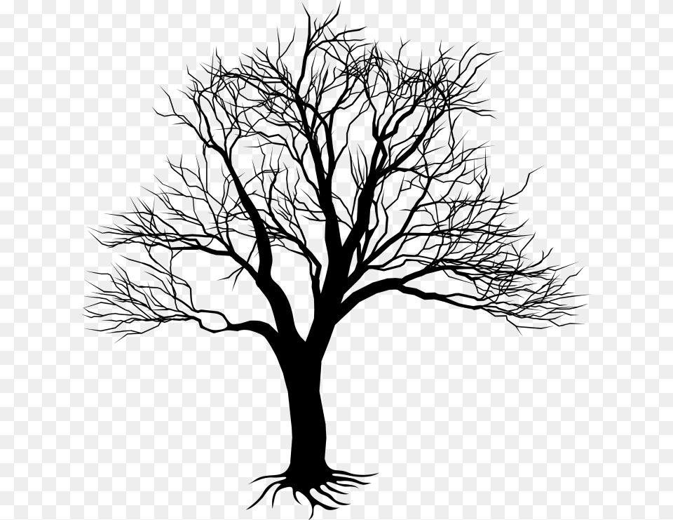 Kill A Mockingbird Tree, Gray Free Transparent Png