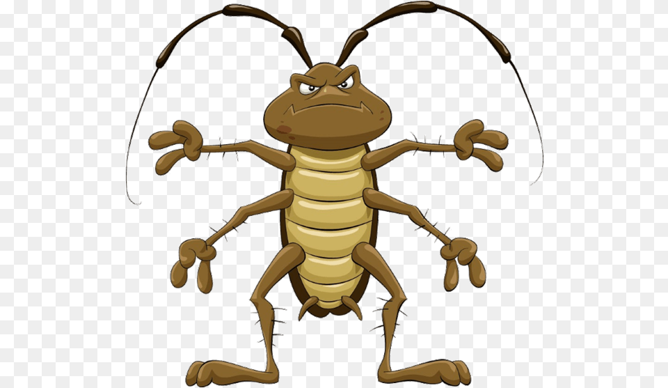 Kill Roach Paste Cockroach Flexing, Animal, Invertebrate, Spider Png