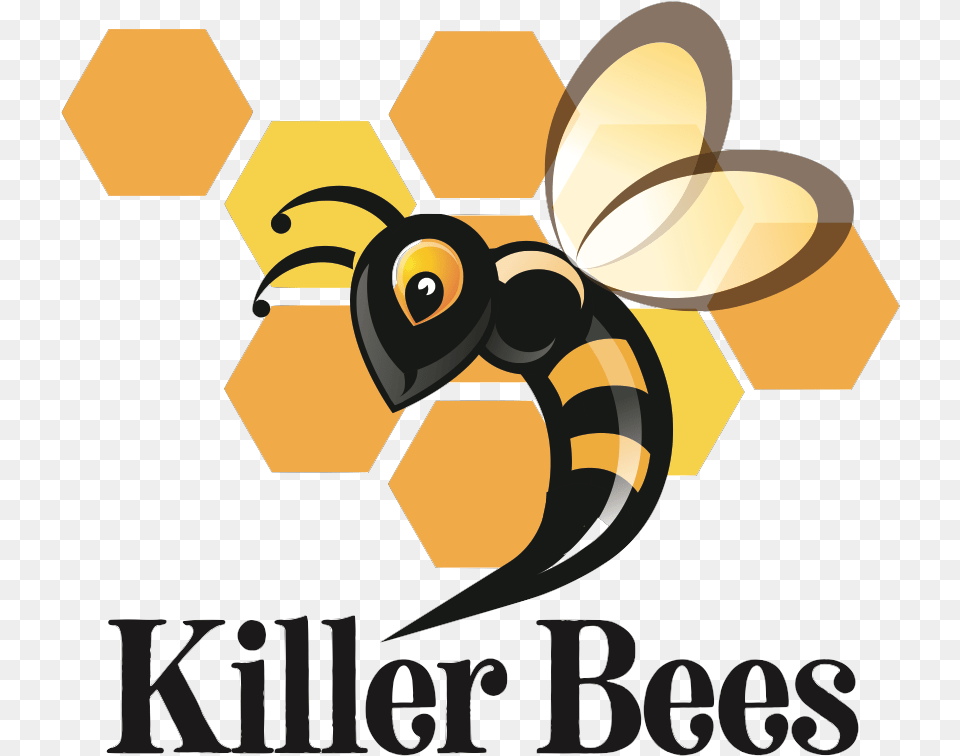 Killer Bee, Animal, Honey Bee, Insect, Invertebrate Free Png