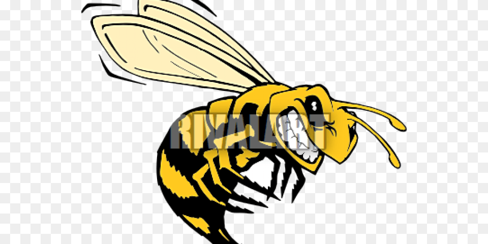 Killer Bee Clip Art, Animal, Insect, Invertebrate, Wasp Png Image