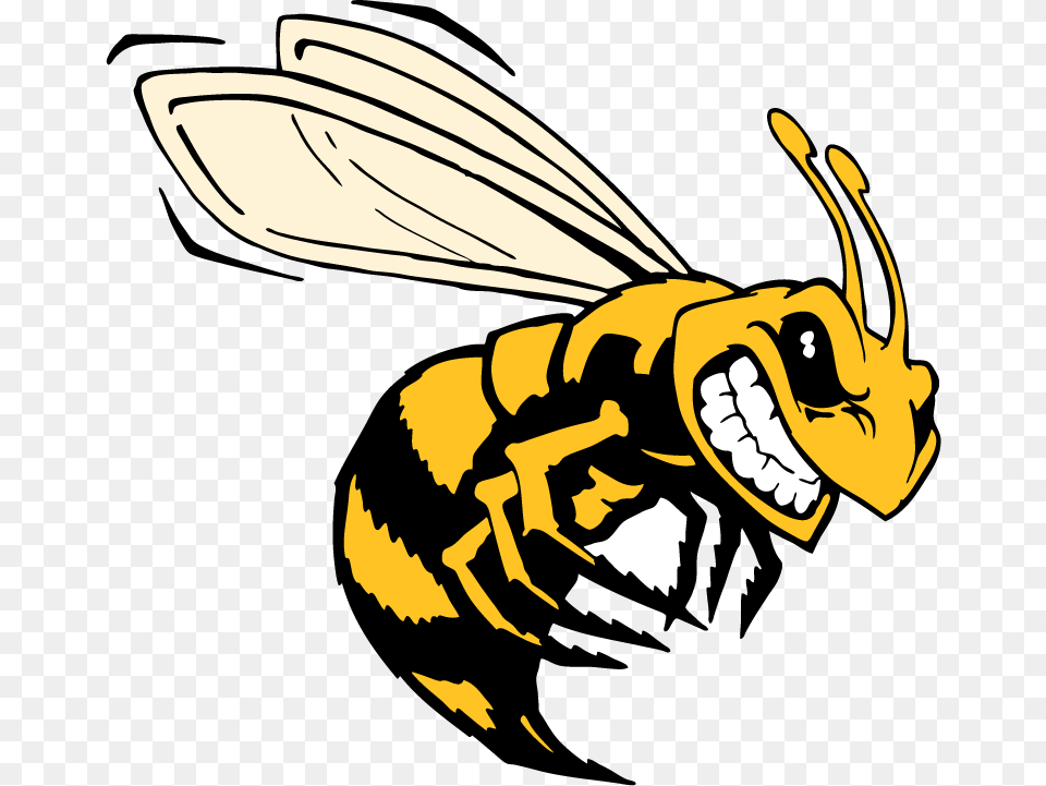 Killer Bee Clip Art, Animal, Invertebrate, Insect, Wasp Png