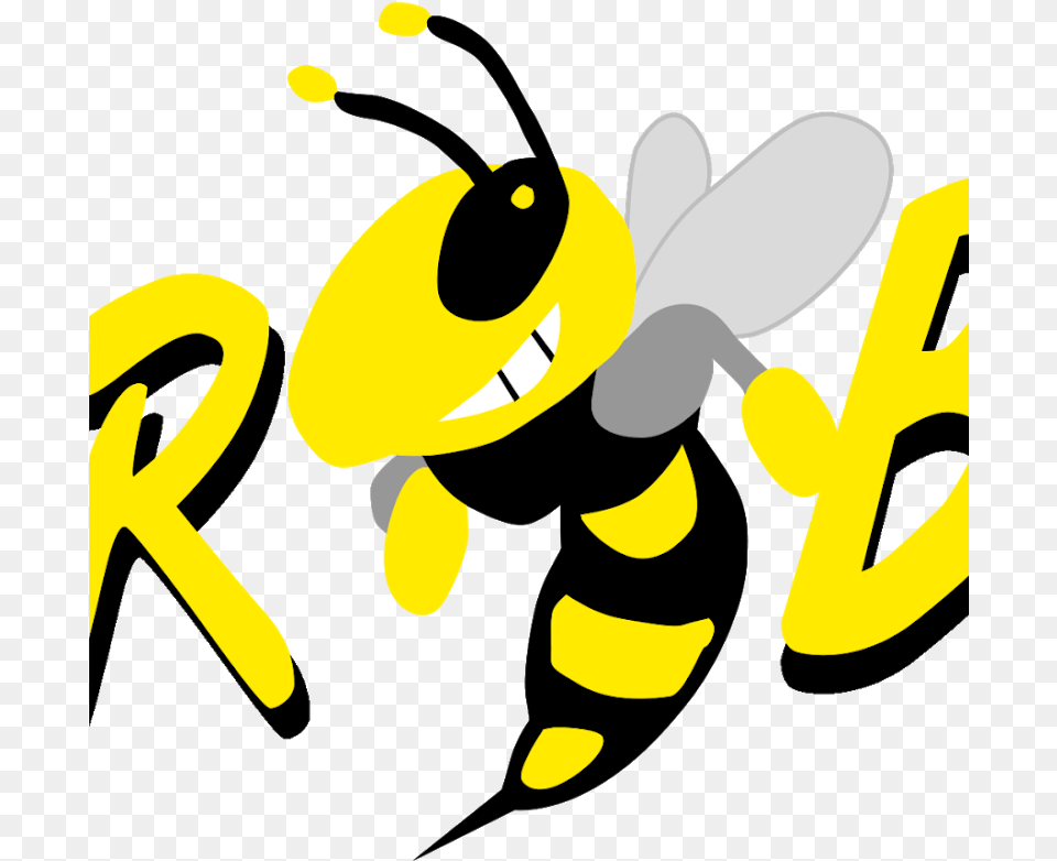 Killer Bee Download Hornet, Animal, Insect, Invertebrate, Wasp Png Image