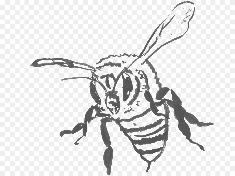 Killer Bee Illustration, Animal, Insect, Invertebrate, Wasp Free Png Download
