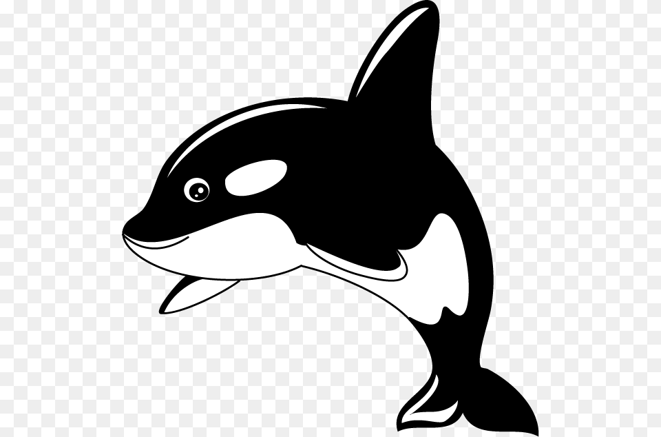 Killer Whale, Stencil, Animal, Sea Life, Fish Free Transparent Png