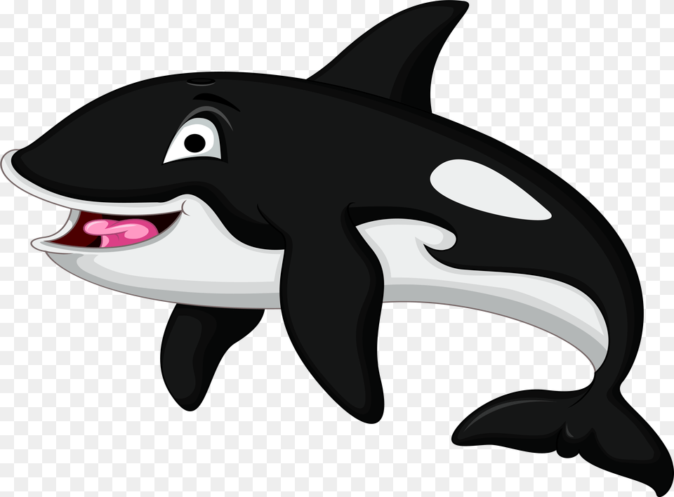 Killer Whale, Animal, Sea Life, Mammal Png Image