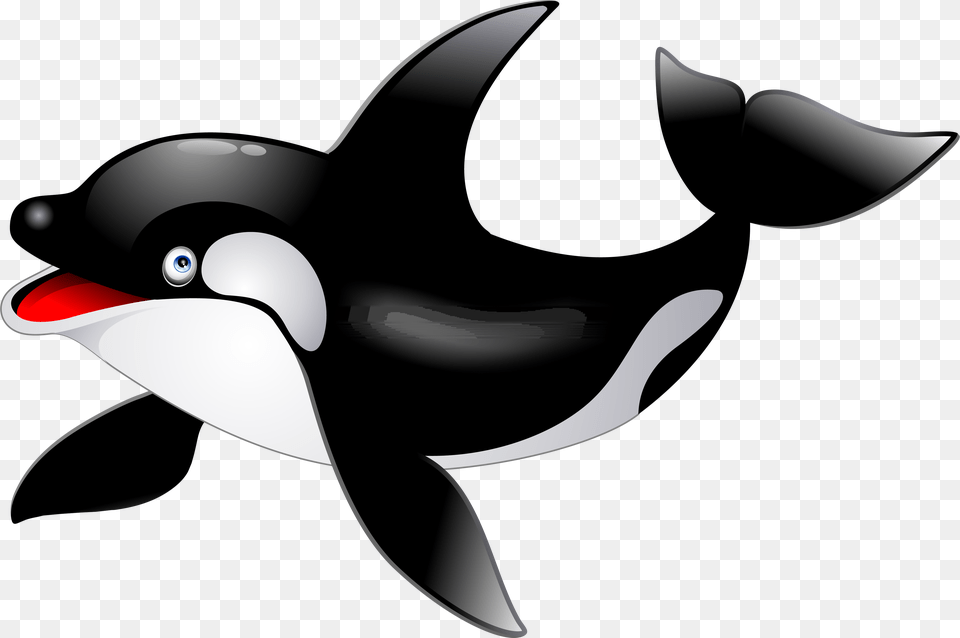 Killer Whale, Animal, Bird, Penguin Free Png