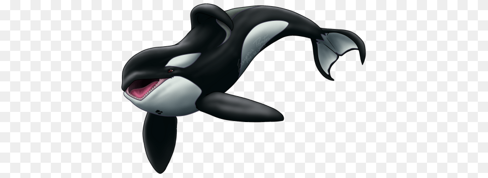 Killer Whale, Appliance, Blow Dryer, Device, Electrical Device Png