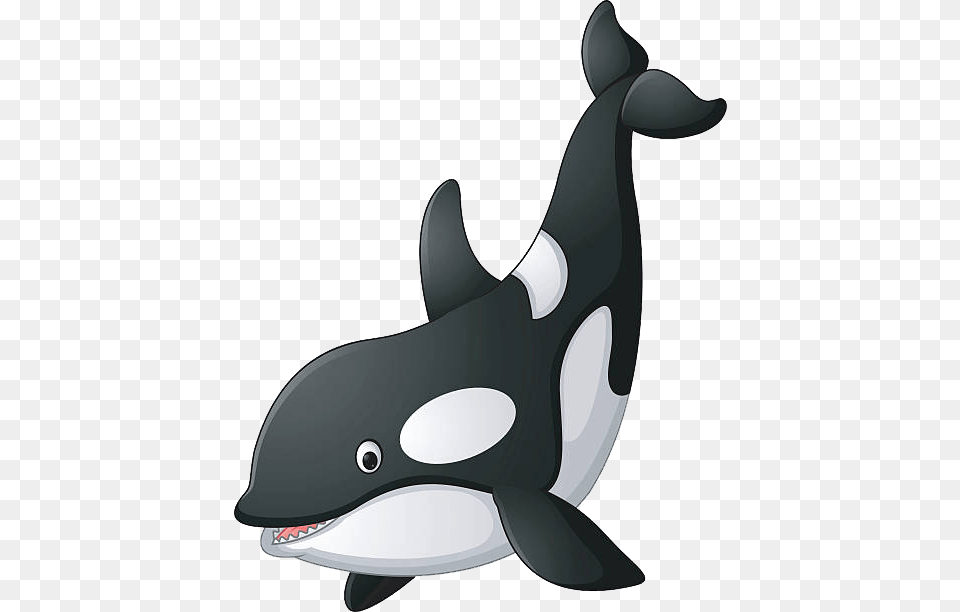 Killer Whale, Animal, Mammal, Sea Life, Orca Png Image