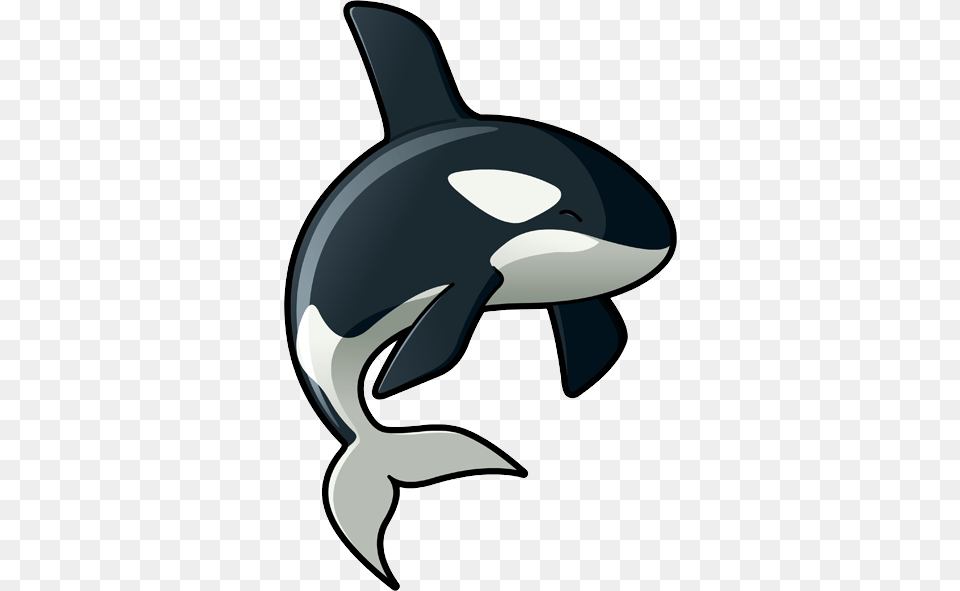 Killer Whale, Animal, Sea Life, Mammal, Orca Png