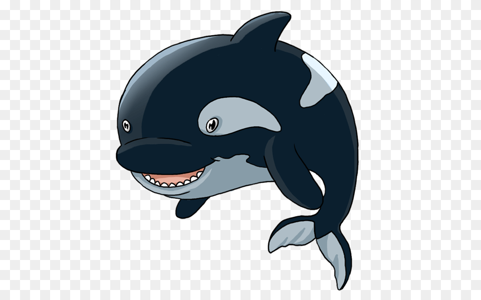 Killer Whale, Animal, Fish, Sea Life, Shark Png Image