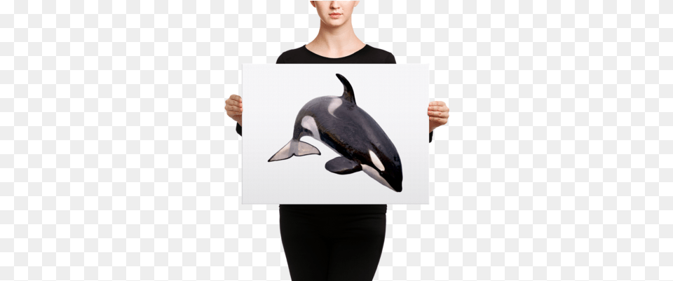Killer Whale Canvas Killer Whales With White Backgrounds, Adult, Person, Hand, Finger Png Image