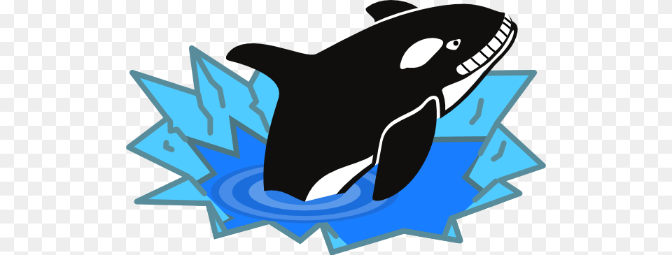 Killer Whale Clip Art, Animal, Mammal, Orca, Sea Life Png