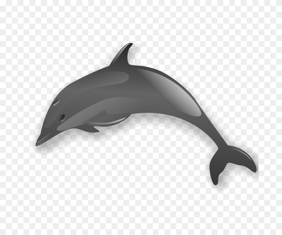 Killer Whale Clip Art, Animal, Dolphin, Mammal, Sea Life Png