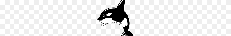 Killer Whale Clip Art Killer Whale Cartoon Clip Art Pictures, Animal, Sea Life, Fish, Mammal Png Image