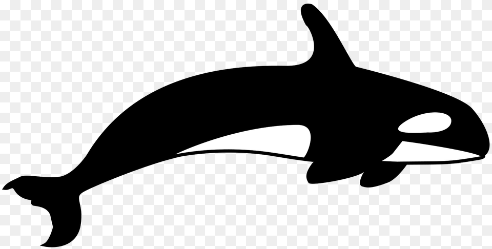 Killer Whale Clipart, Animal, Sea Life, Fish, Shark Free Transparent Png