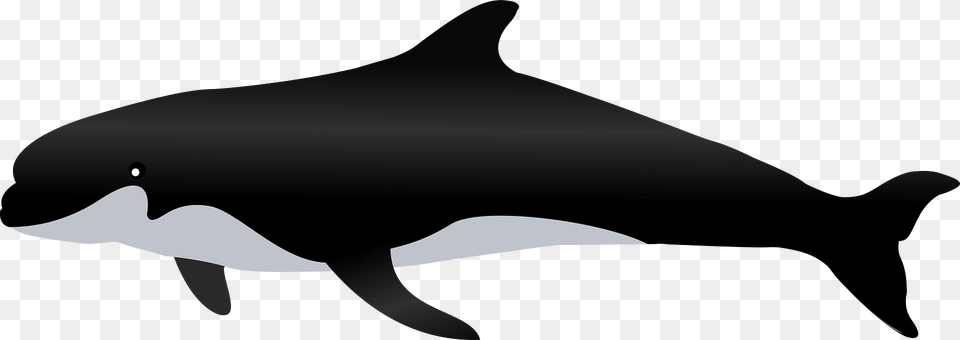 Killer Whale Clipart, Animal, Sea Life, Fish, Shark Free Png Download