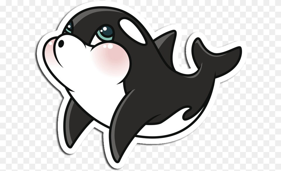 Killer Whale Clipart Arctic Animal Cartoon Cute Orca Whale Free Png