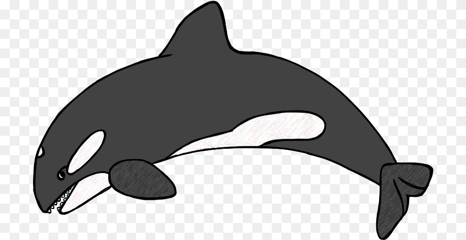Killer Whale Clipart Black And White Dromgcb Top Orca Clipart, Animal, Sea Life, Mammal Free Png Download