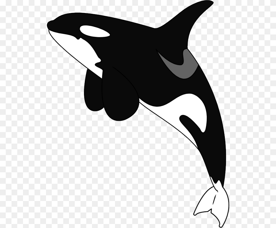 Killer Whale Clipart Cartoon Killer Whale Background, Animal, Sea Life, Fish, Shark Free Png Download