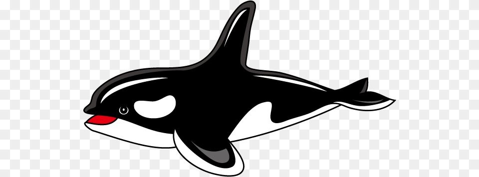 Killer Whale Clipart Orca Clipart, Animal, Sea Life, Fish, Shark Png Image