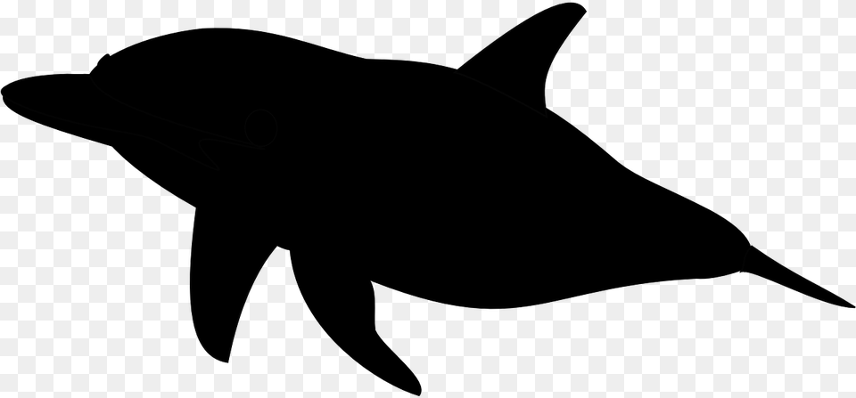 Killer Whale Clipart Silhouette Fish Silhouette No Background, Animal, Sea Life, Shark Png Image