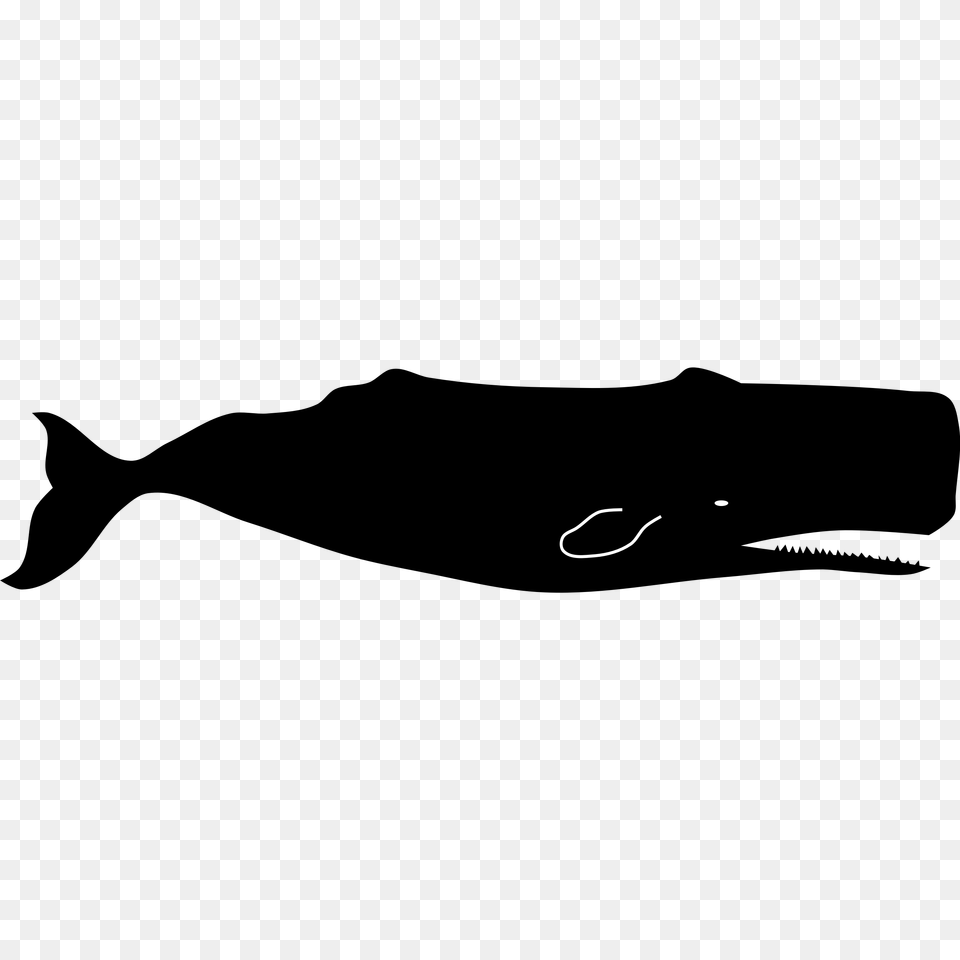 Killer Whale Clipart Sperm Whale, Text, Silhouette, Racket, Sport Png Image