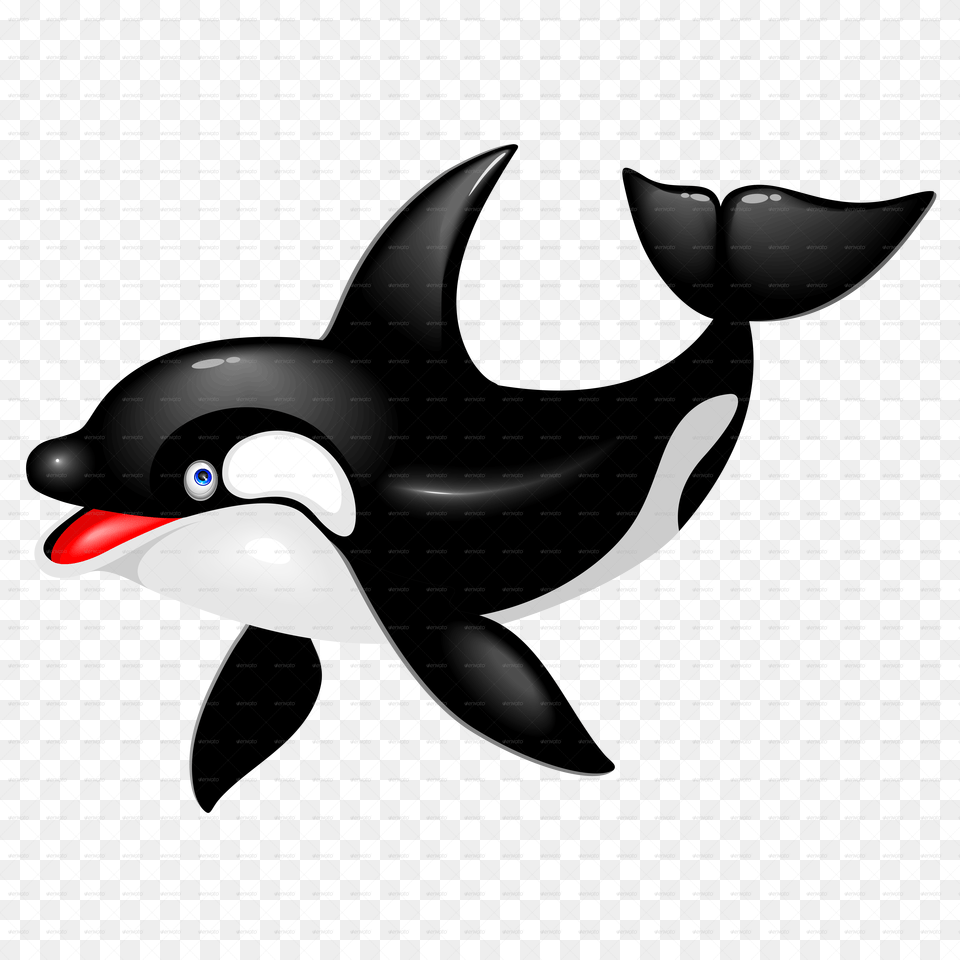 Killer Whale Dolphin Drawing Cetacea Cartoon Baby Killer Whale, Animal Free Png Download