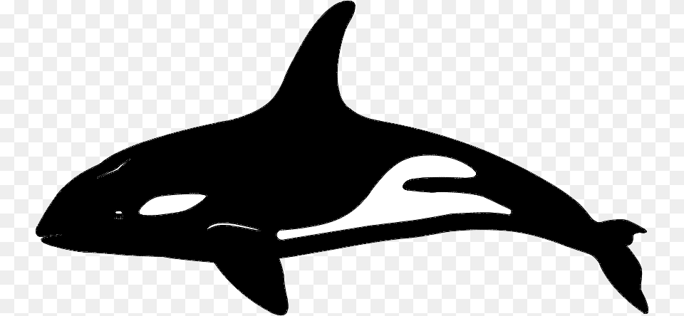 Killer Whale Dolphin Vector Graphics Portable Network Killer Whale, Silhouette, Animal, Fish, Sea Life Png Image