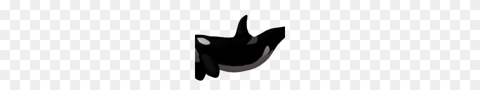 Killer Whale Image, Animal, Sea Life, Smoke Pipe, Mammal Free Png Download