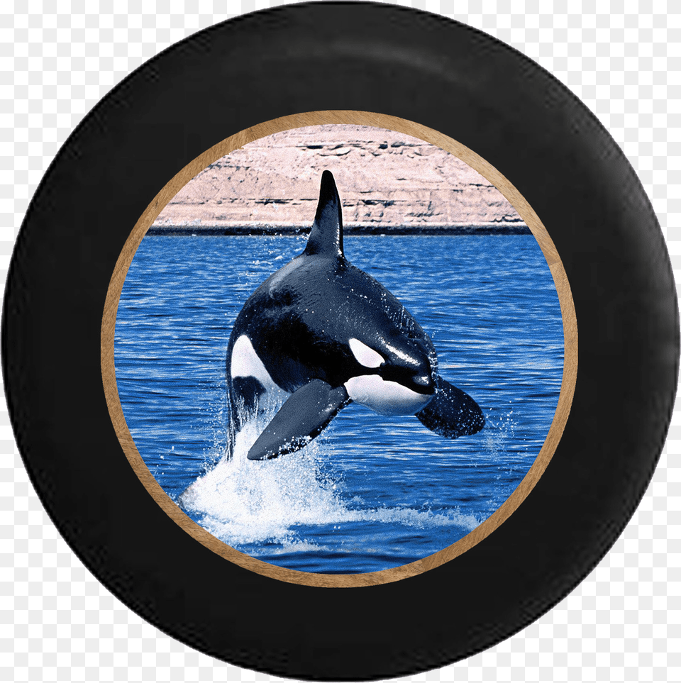 Killer Whale Orca Jumping In The Ocean Rv Camper Spare Orca, Animal, Sea Life, Fish, Shark Free Transparent Png