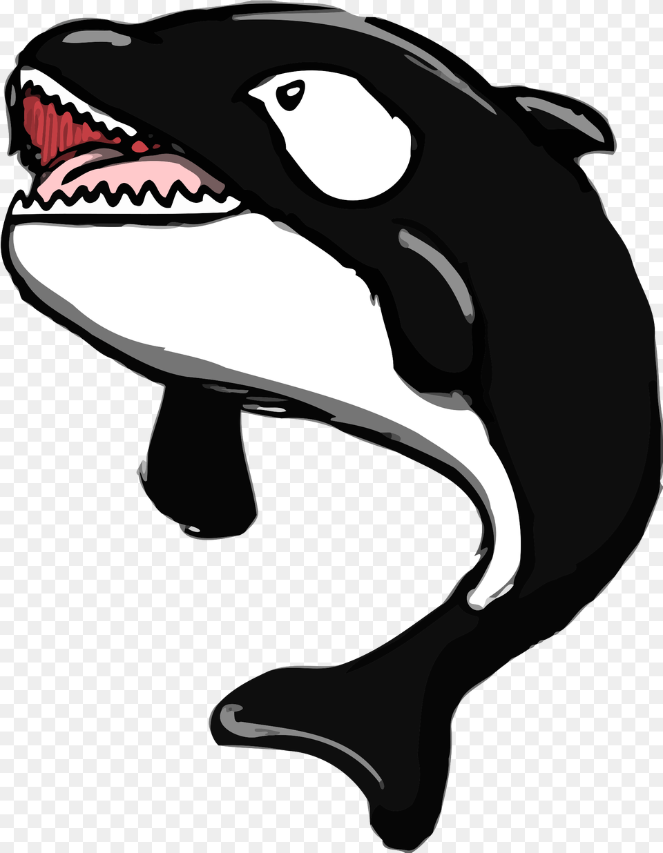 Killer Whale Small, Animal, Sea Life, Mammal, Kangaroo Png Image