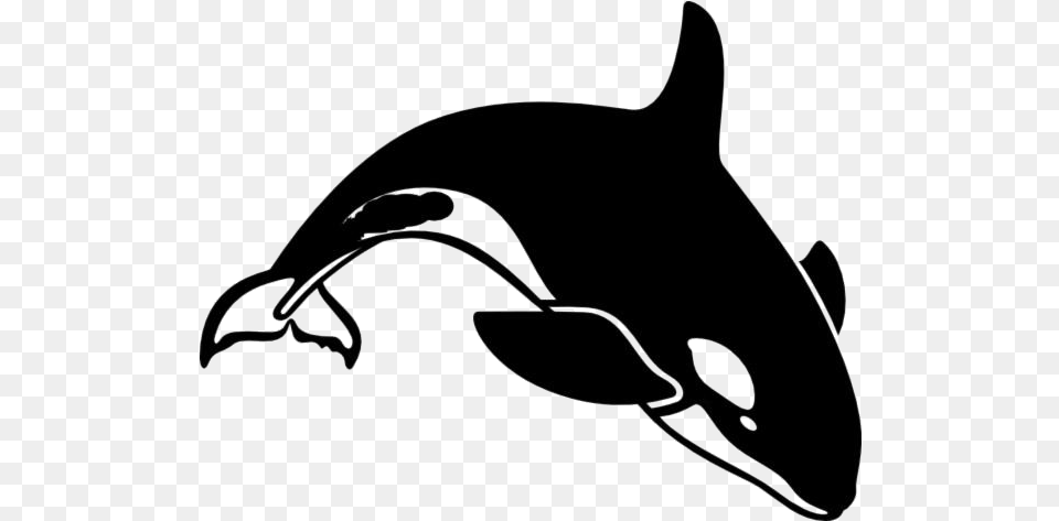 Killer Whale Transparent Images Orca Clipart, Bow, Weapon, Animal, Sea Life Png