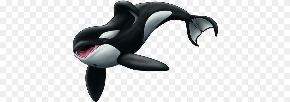 Killer Whale Transparent Orca Whale, Animal, Appliance, Blow Dryer, Device Free Png