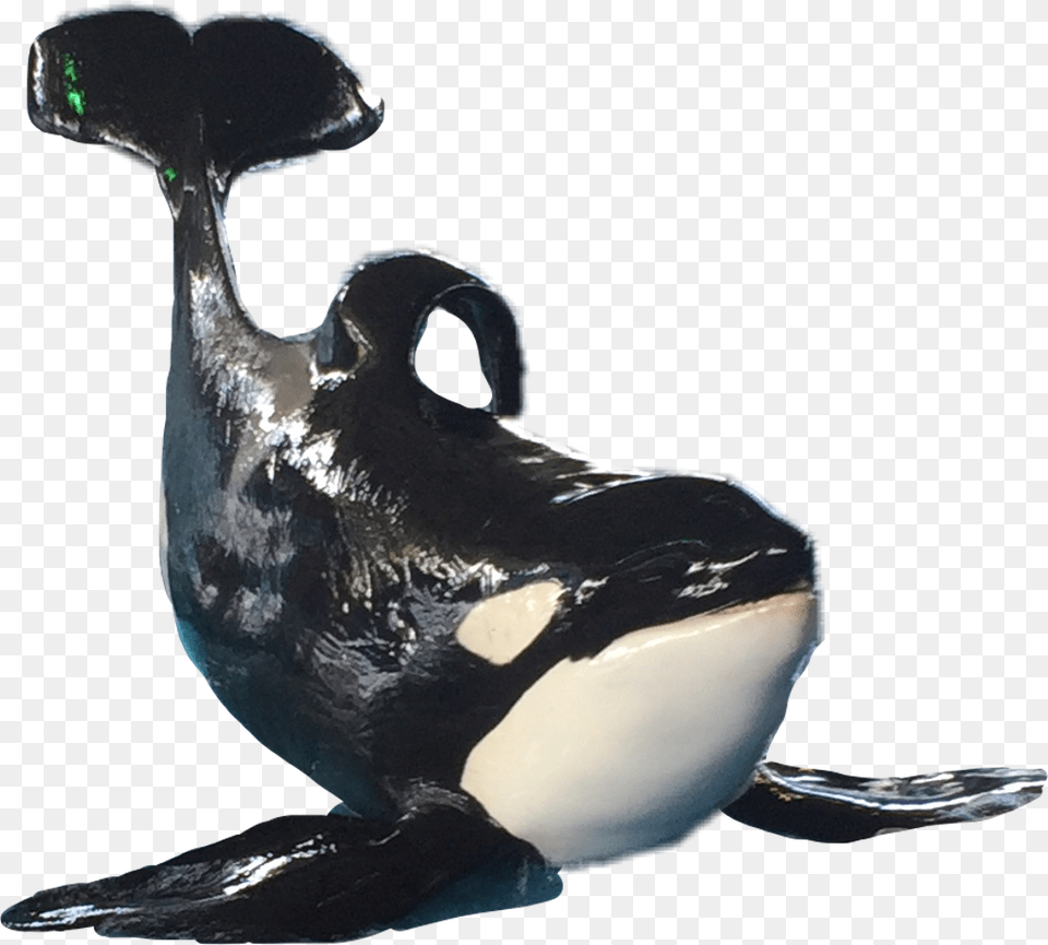 Killerwhale Sticker Killer Whale, Animal, Bird, Mammal, Penguin Png Image