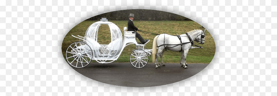 Kilvey Carriage House, Adult, Vehicle, Transportation, Person Png Image