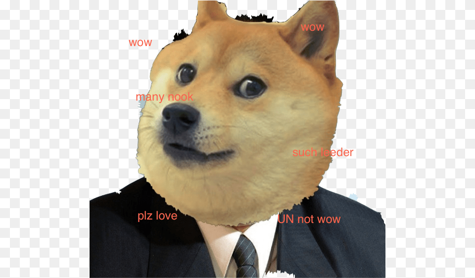 Kim Jong Doge Nice Dick Dude Meme, Snout, Formal Wear, Accessories, Pet Png