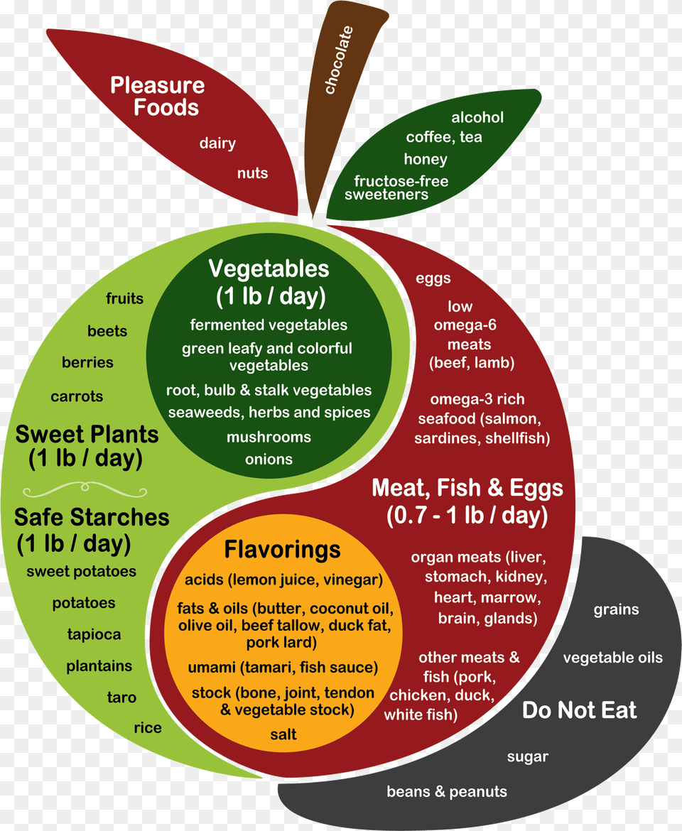 Kind Readers Have Translated The Perfect Health Diet Perfect Health Diet, Diagram, Venn Diagram, Disk Free Transparent Png