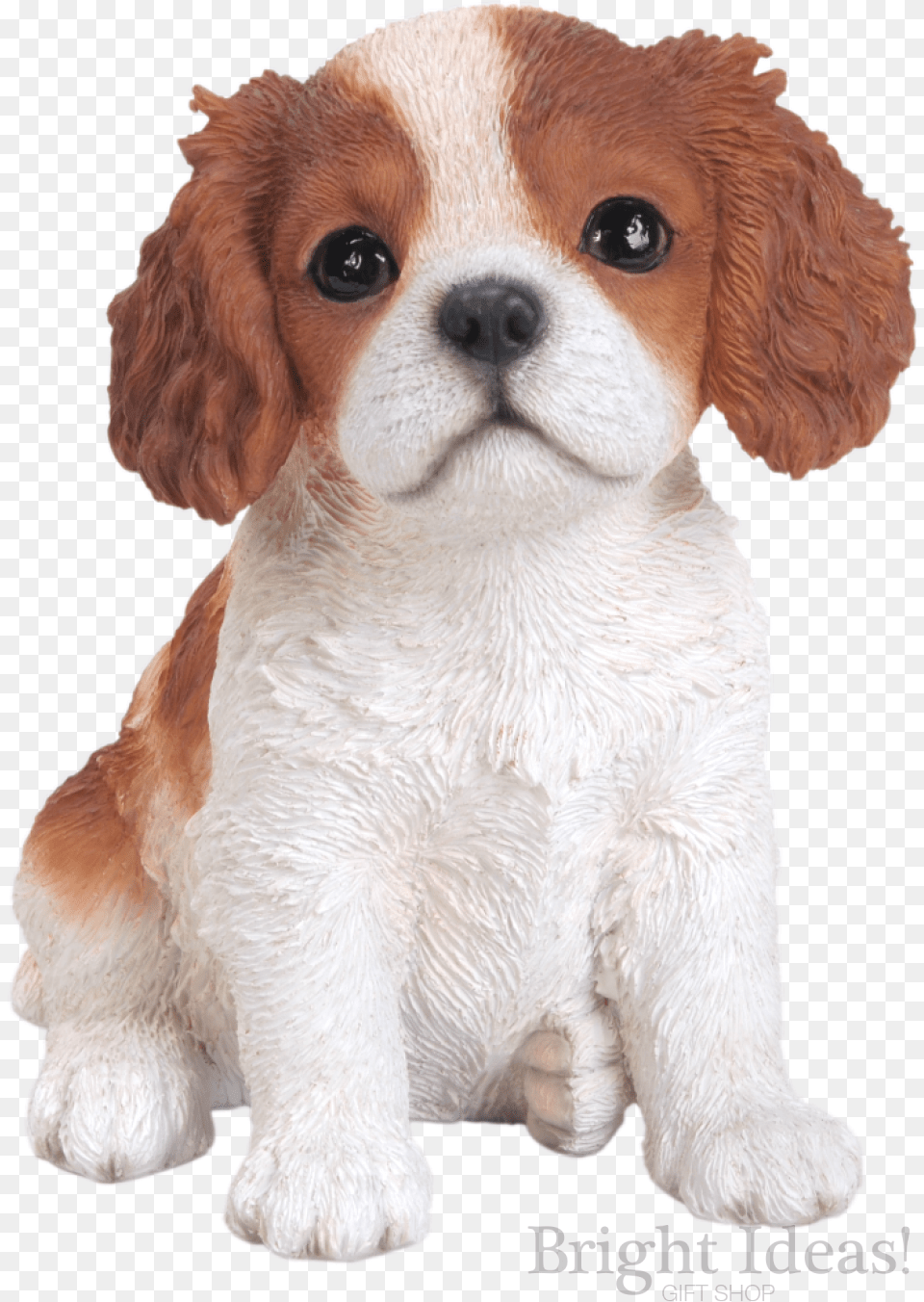 King Charles Puppy Dog Vivid Arts Pet Pals Brown Cavalier King Charles Spaniel, Animal, Canine, Mammal Png