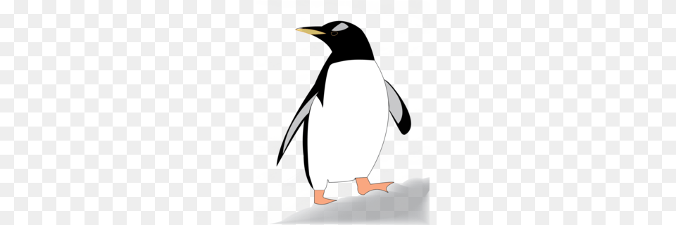 King Clipart, Animal, Bird, Penguin, King Penguin Free Png Download