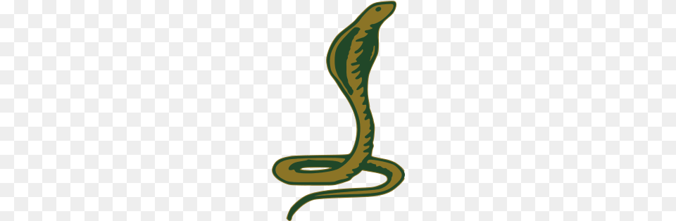 King Cobra, Animal, Reptile, Snake, Smoke Pipe Png Image