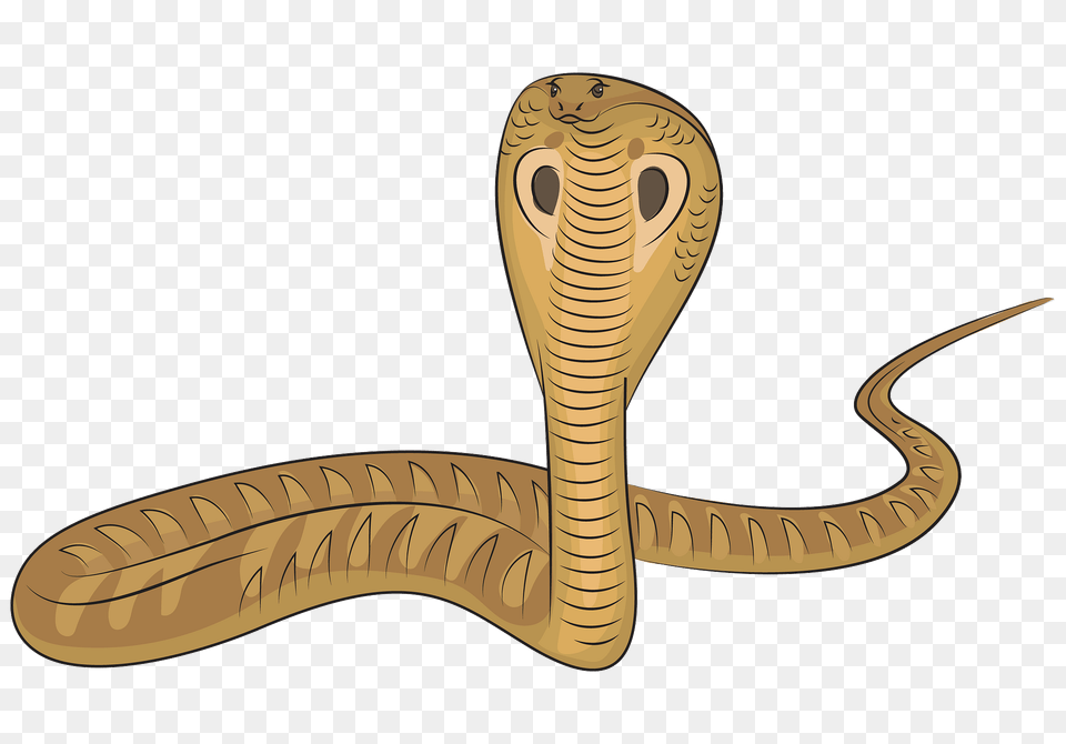 King Cobra Clipart, Animal, Reptile, Snake Png