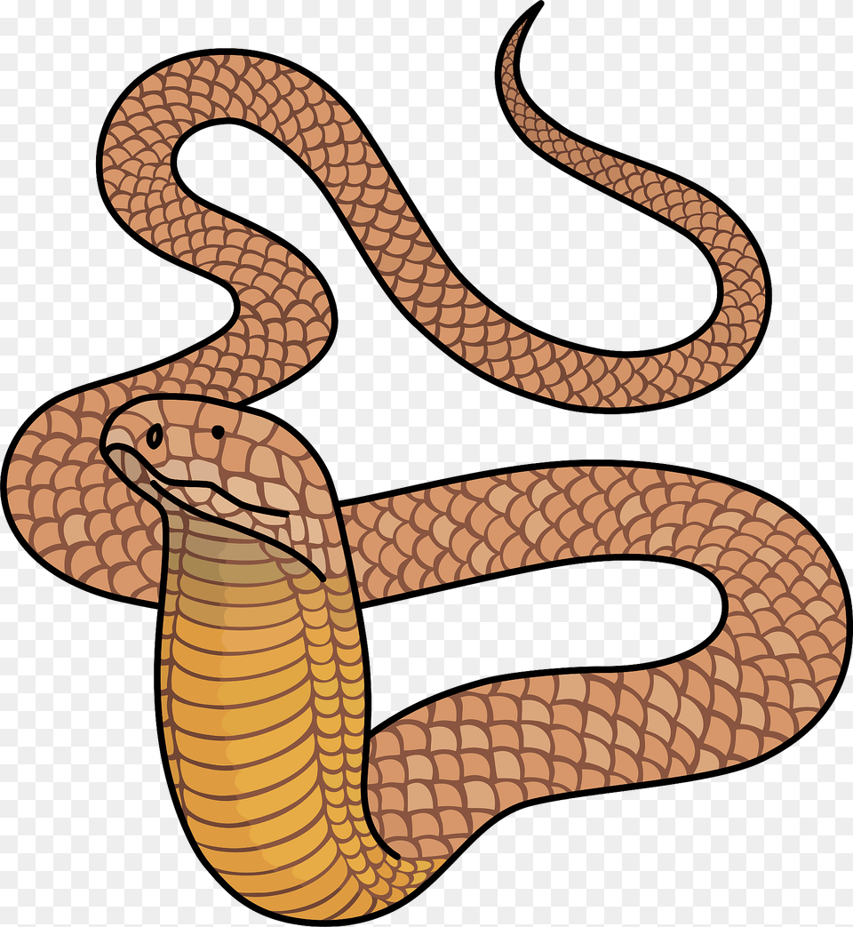 King Cobra Clipart, Animal, Reptile, Snake Png