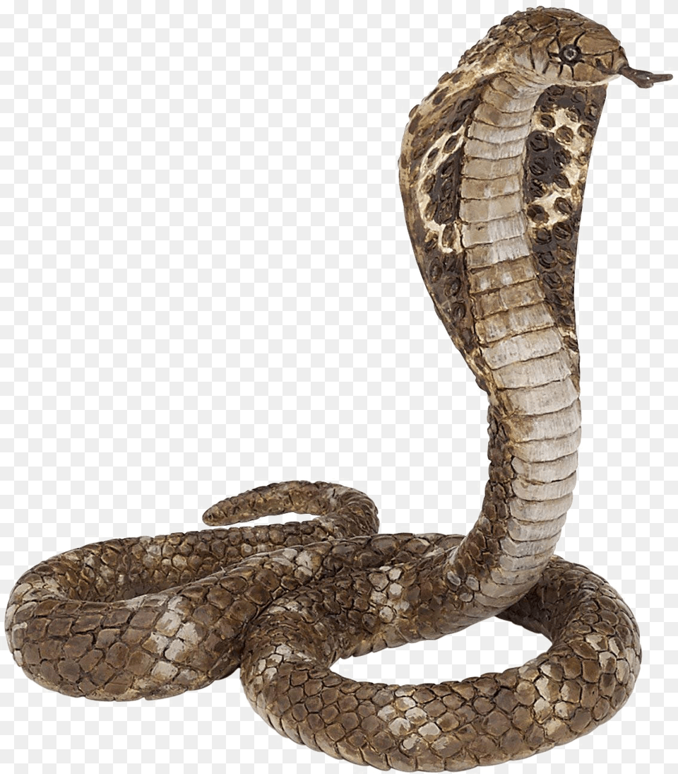 King Cobra Clipart King Cobra, Animal, Reptile, Snake Png Image