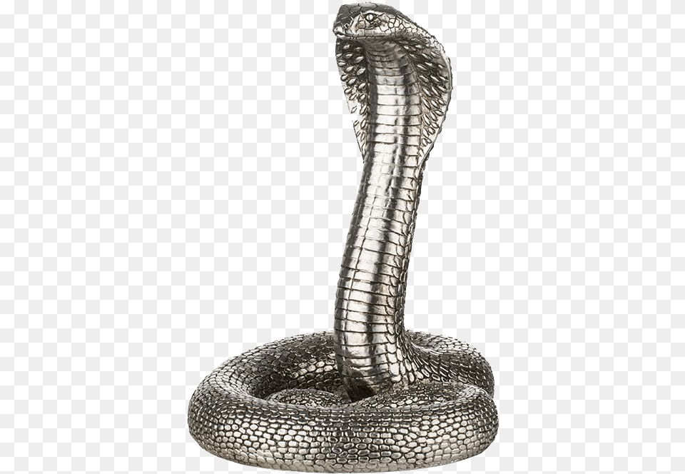 King Cobra File Serafina Snake H21 Cm Antique Silver, Animal, Reptile Png Image