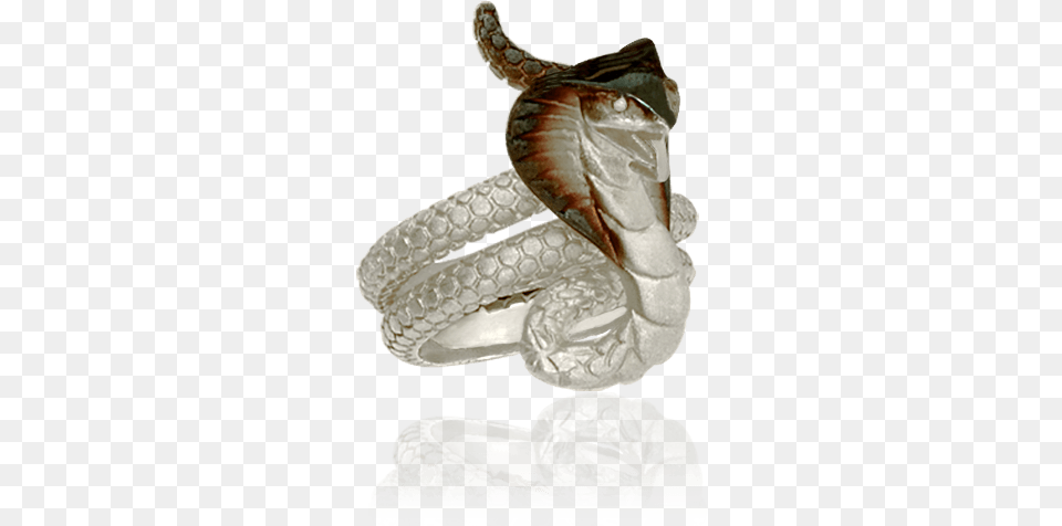 King Cobra Ring, Animal, Reptile, Snake Png