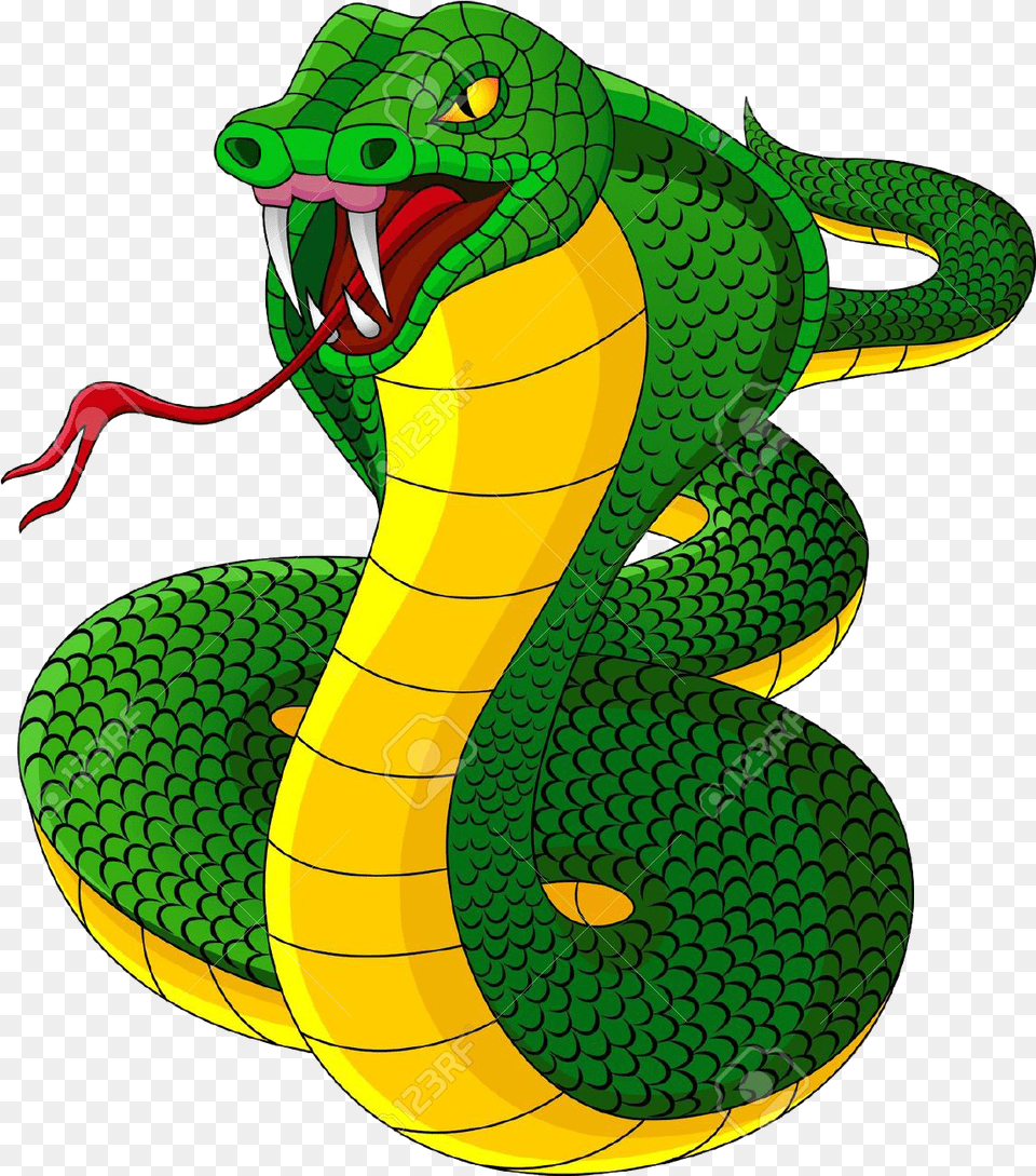 King Cobra Transparent Background, Animal, Reptile, Snake Png Image