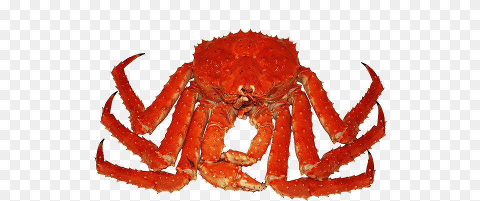 King Crab Image Long Leg Crab, Animal, Food, Invertebrate, King Crab Free Png Download