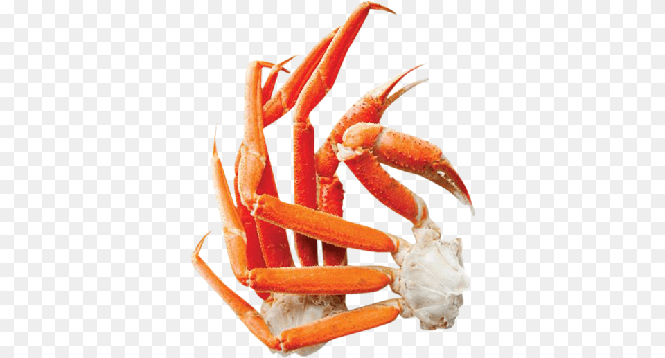 King Crab Legs Freshwater Crab, Food, Seafood, Animal, Invertebrate Free Transparent Png