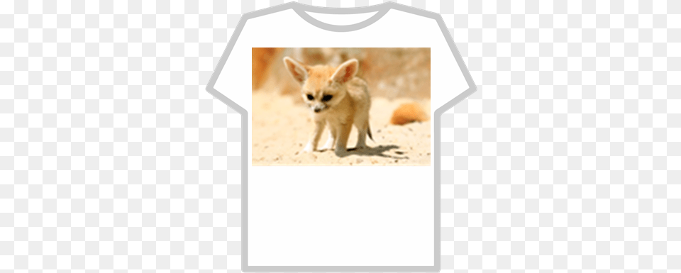 King Fennec Fox Shirt Roblox Fennec Fox Baby, Animal, Canine, Kit Fox, Mammal Free Png