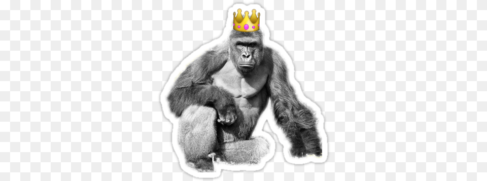 King Harambe, Animal, Ape, Mammal, Wildlife Free Png